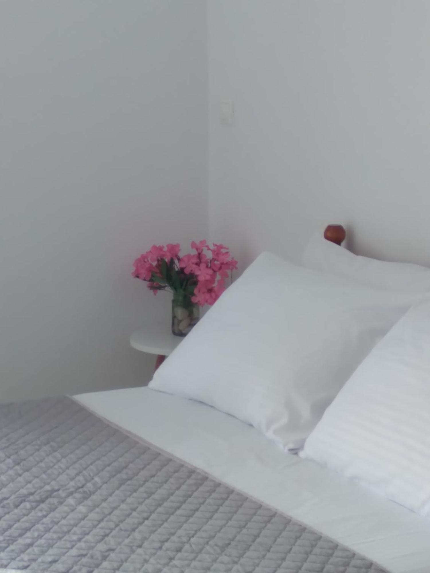 Nadim Rooms هيماري المظهر الخارجي الصورة